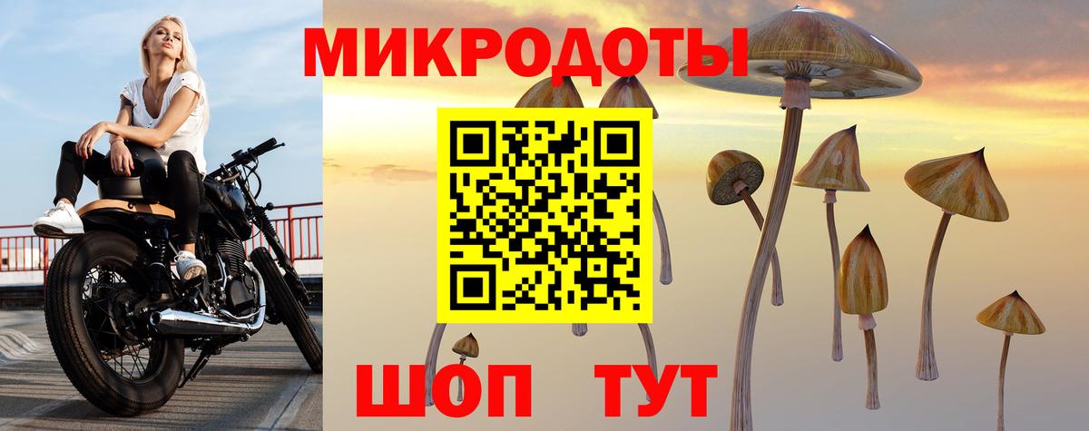 Галлюциногенные грибы мухоморы  Вход с VPN  Мелеуз 