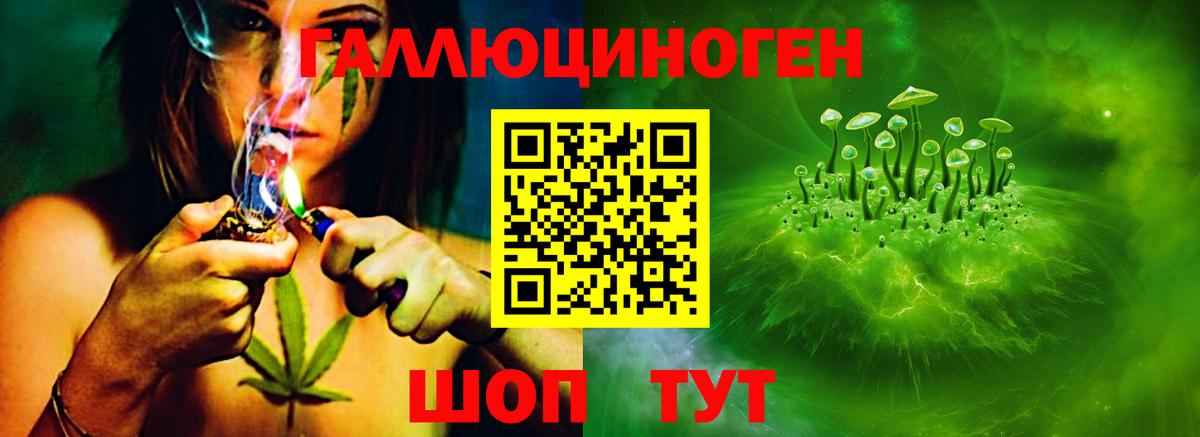 Галлюциногенные грибы Psilocybe Мелеуз